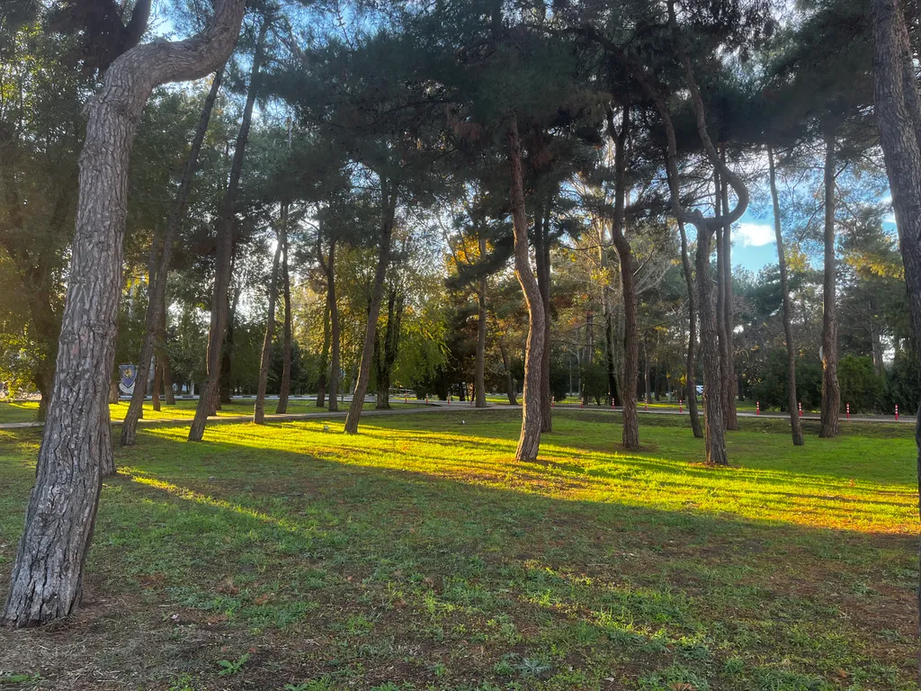 Квартира Квартира Путешествие к горизонту начинается здесь — Анапа