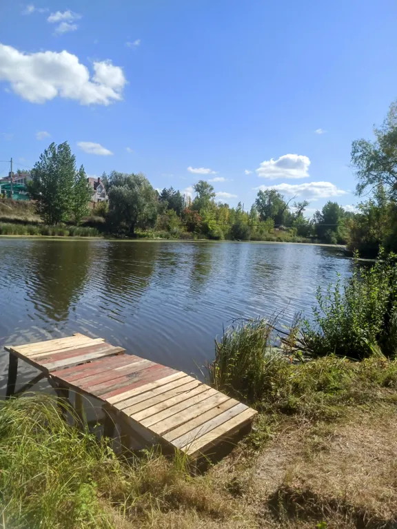 Коттедж в Царевщине