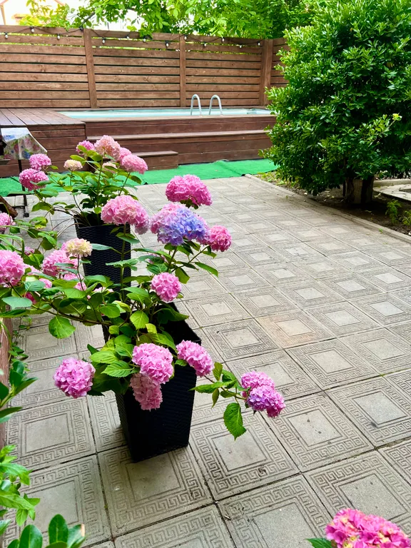 Квартира Дизайнерская квартира с бассейном в центре Анапы — Анапа