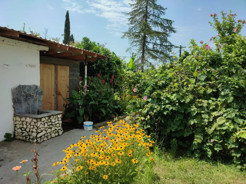 Уютные комнаты у Георгия