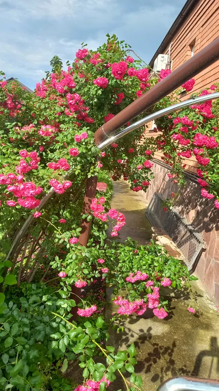 Уютная комната в доме с ванной комнатой