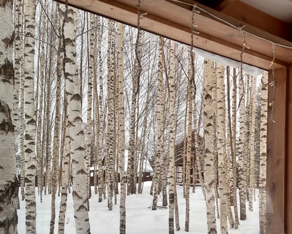 Глэмп хаус №3 Иволга