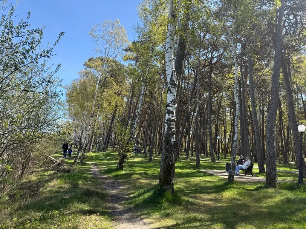 Квартира Уютная квартира с видом на море — Пионерский