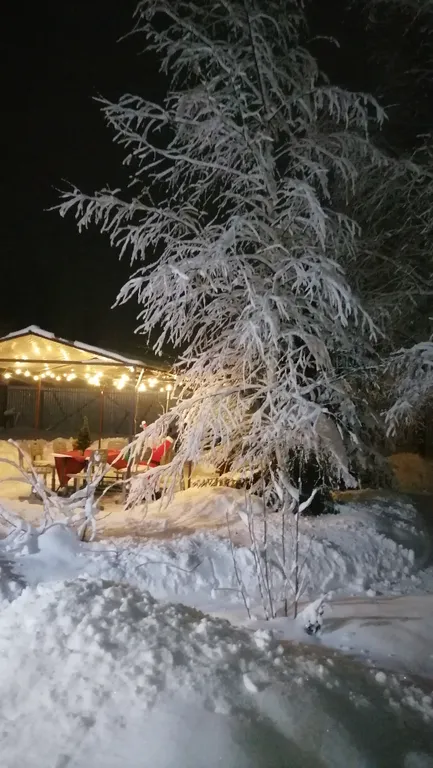 Дом с зоной отдыха на новый год на природе