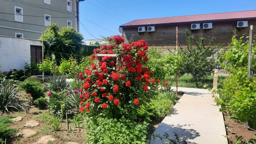 Отличное место для хорошего отдыха