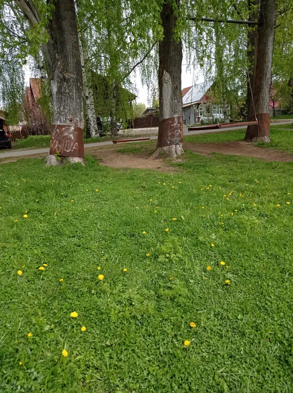 Дача у реки