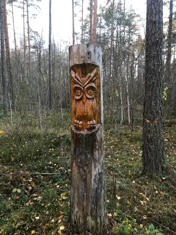 Коттедж Домик у лесного озера — Приозерск