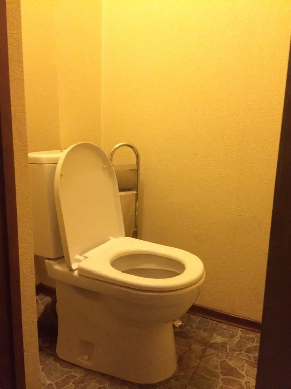 Чистая уютная с высокими потолками квартира