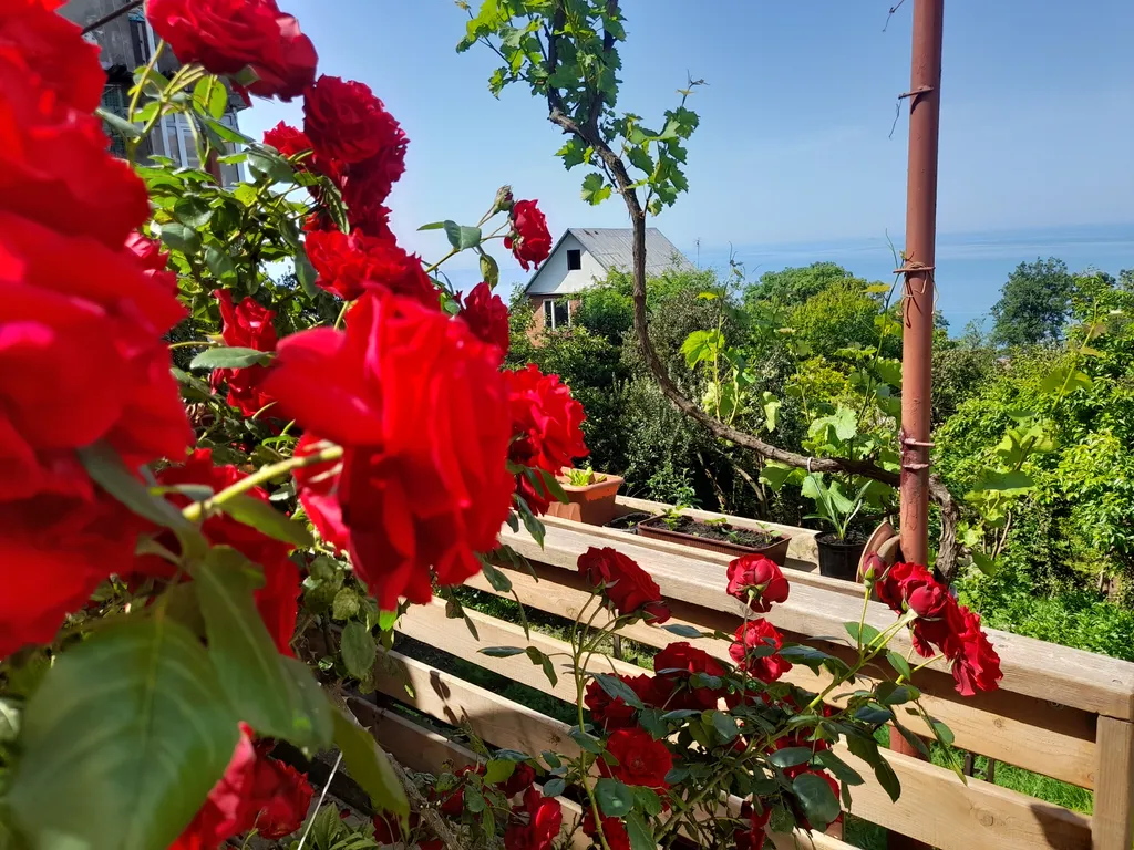 Жемчужина у моря