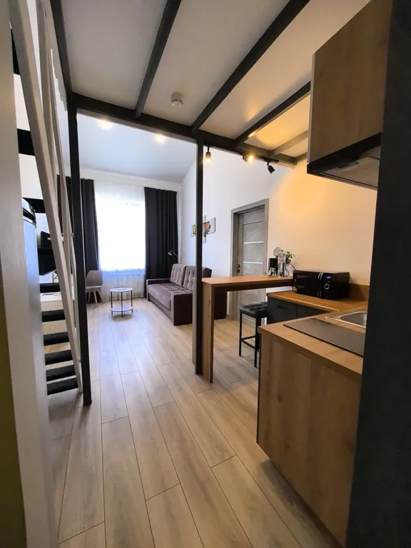 Квартира Двухкомнатная студия с кухней с 2-я санузлами и TV в каждой комнате — Коммунар