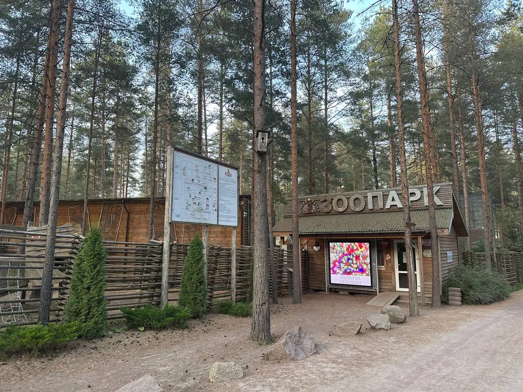 Коттедж Уютный дом в сердце ленинградского леса с баней на дровах — Приозерск