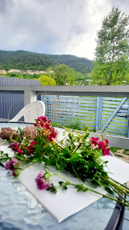 Гостевой дом в с.Ширяево