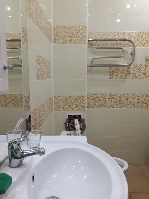 Огромная квартира в центре