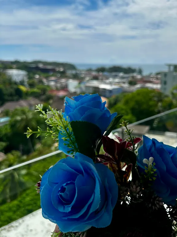 Видовая студия на пляже Карон