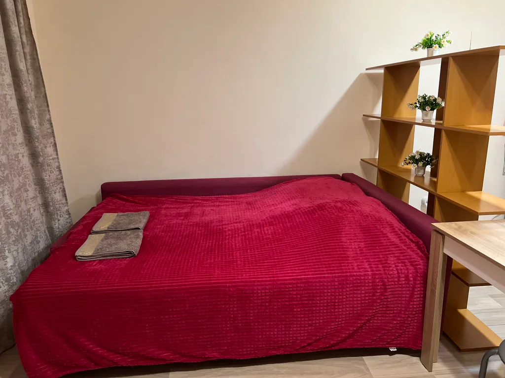 Студия с шикарным видом на лес