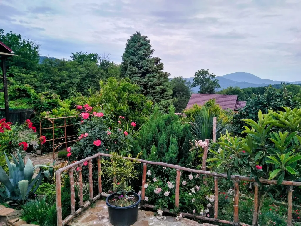 Гостевой дом Каньон Псахо