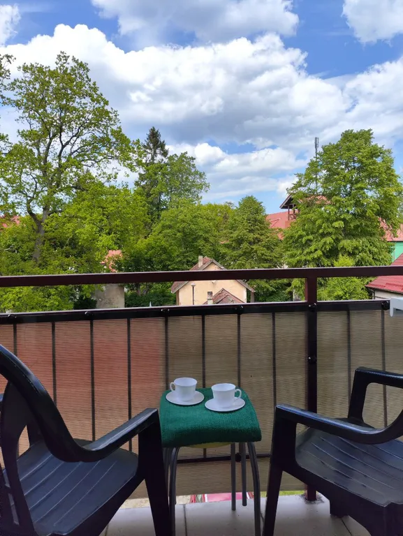 Квартира Уютные апартаменты в центре города — Светлогорск