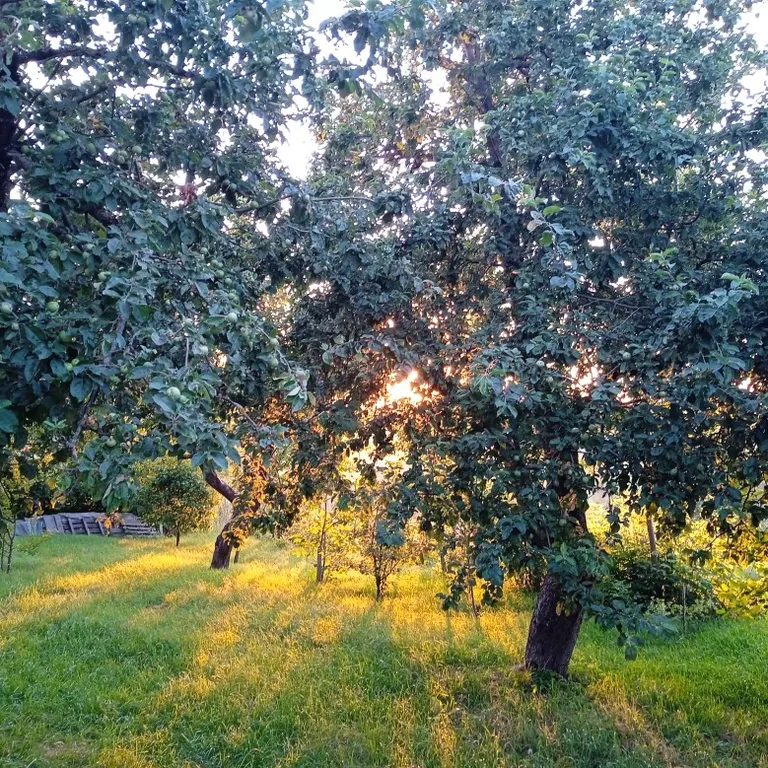 Тихий отдых