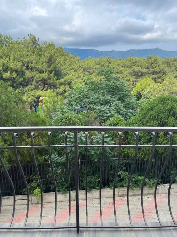 Квартира Апартаменты с видом на сосновую рощу и балконом 2 этаж — Геленджик