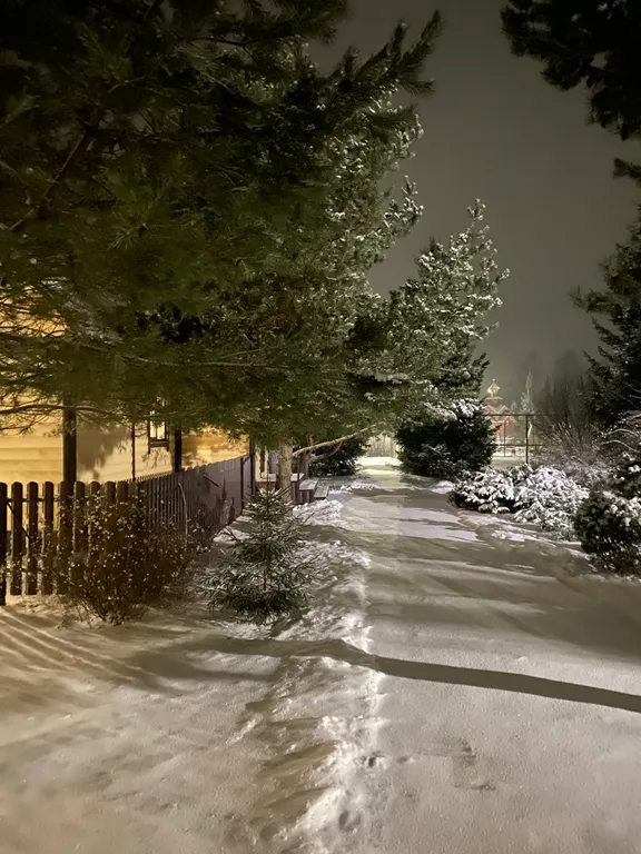 Дом для отдыха с камином, баней, оформлением к празднику