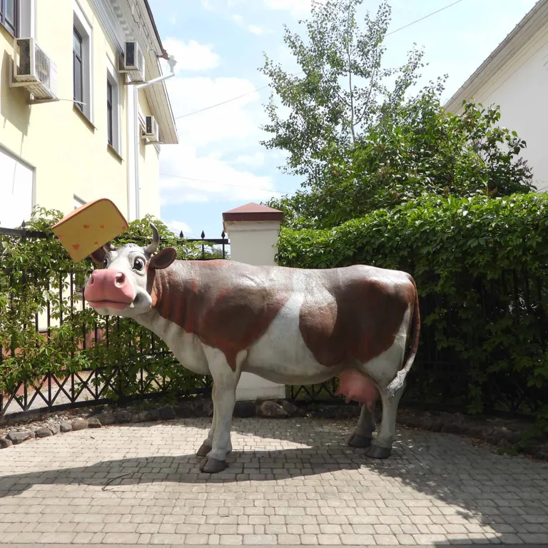 Дизайнерская студия в историческом доме купца Карелина в центре города