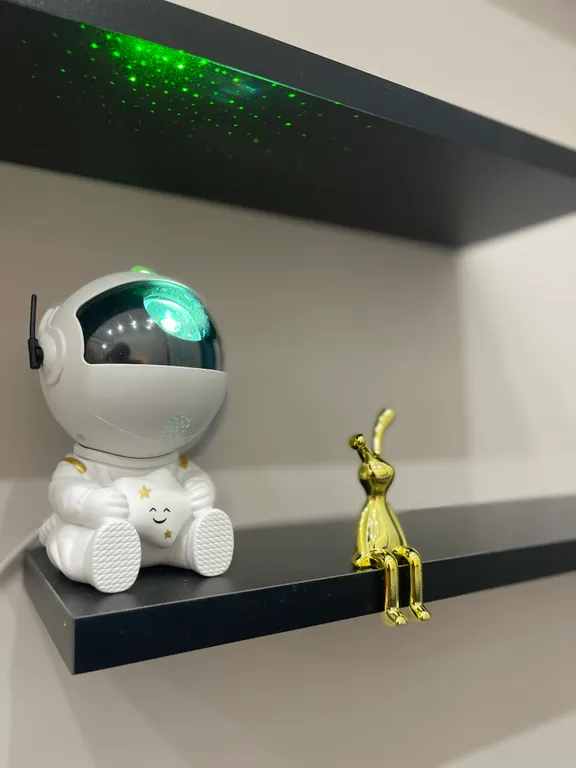 Студия РозаХаус рядом с САФУ