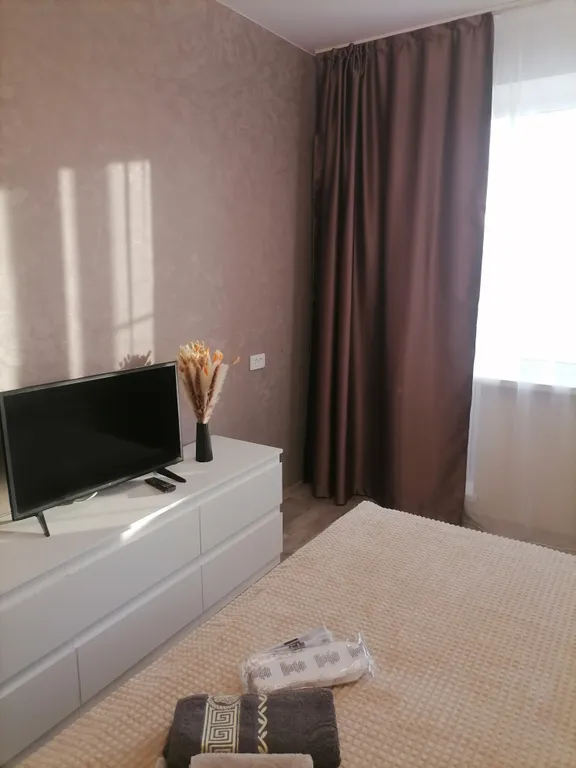 Однокомнатная квартира на Телецентре