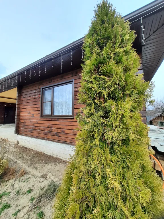 Эко дом из бруса