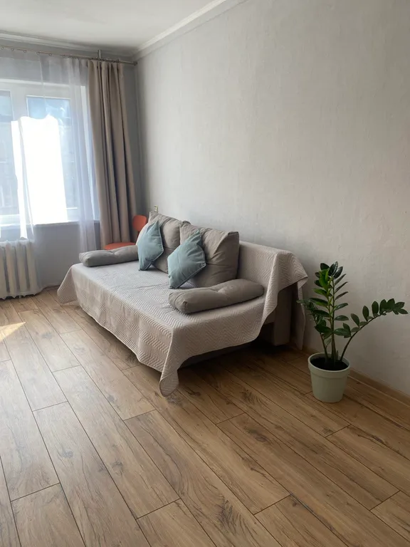 Просторная квартира на исторической улице