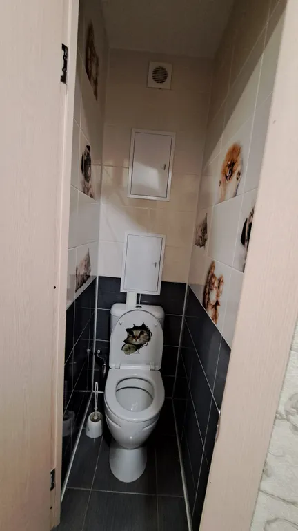 Квартира Двухкомнатная квартира рядом с институтами имени Напалкова и Гранова — Песочный