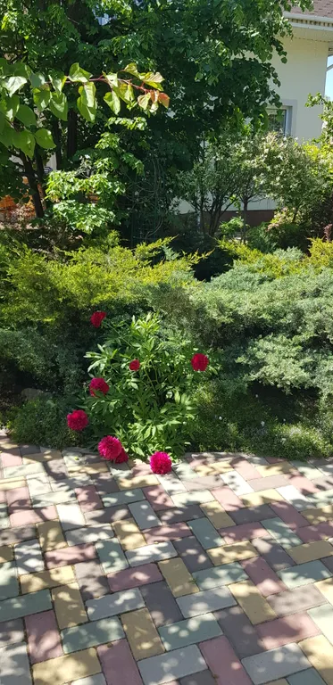 Уютная комната-студия р-н парк Поддубного