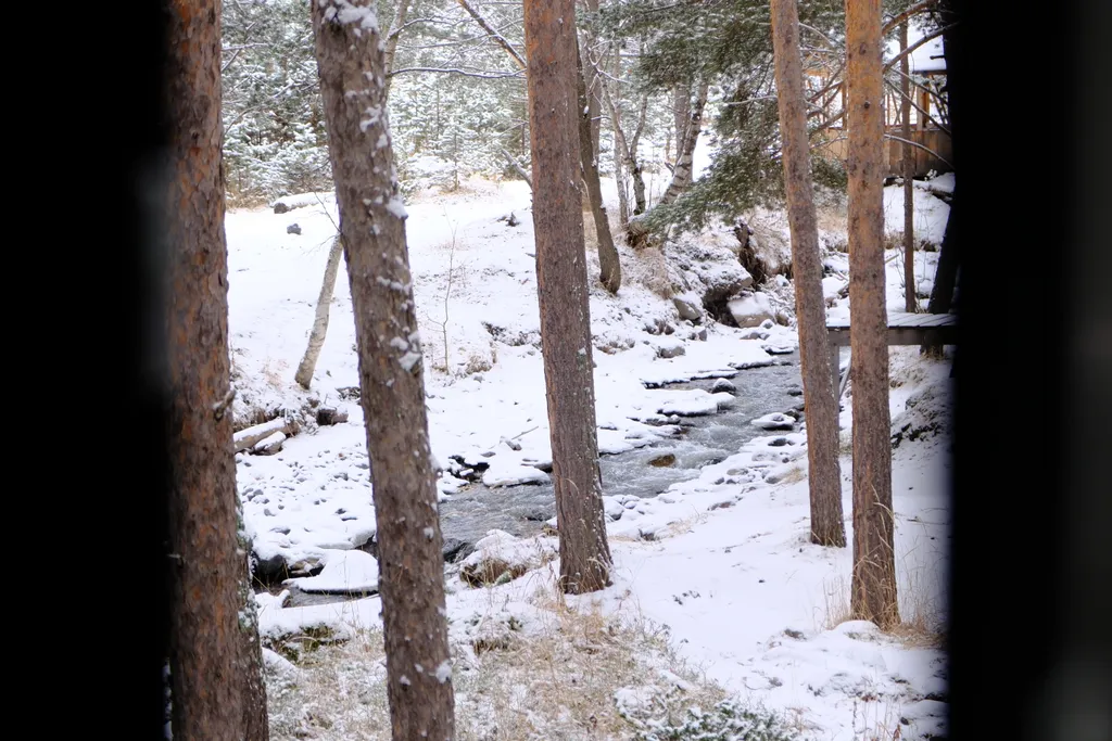 Студия у Экотропы
