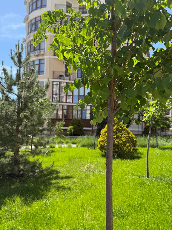 Квартира Апартаменты с видом на море около отеля Метрополь — Геленджик