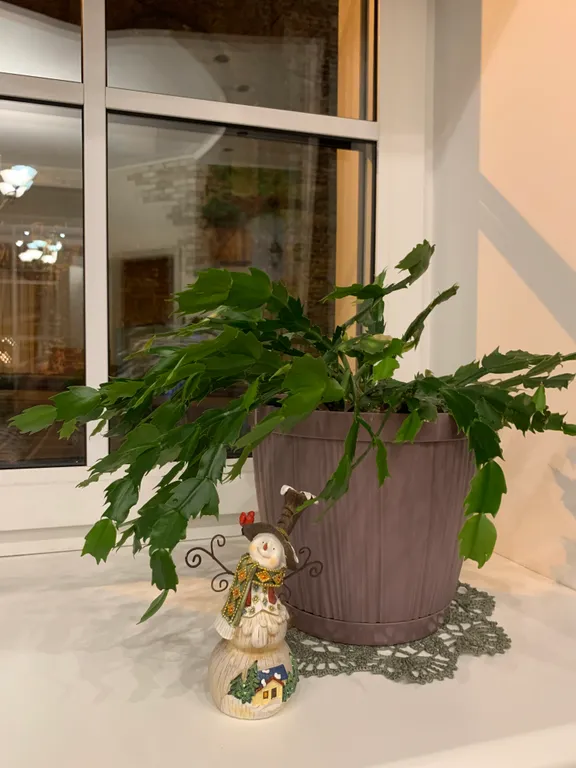 Апартамент На Стыке Времён