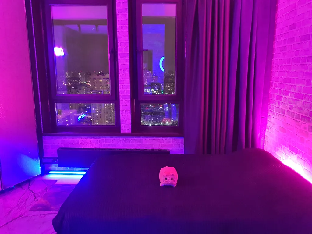 Квартира Чистая и уютная студия — Котельники