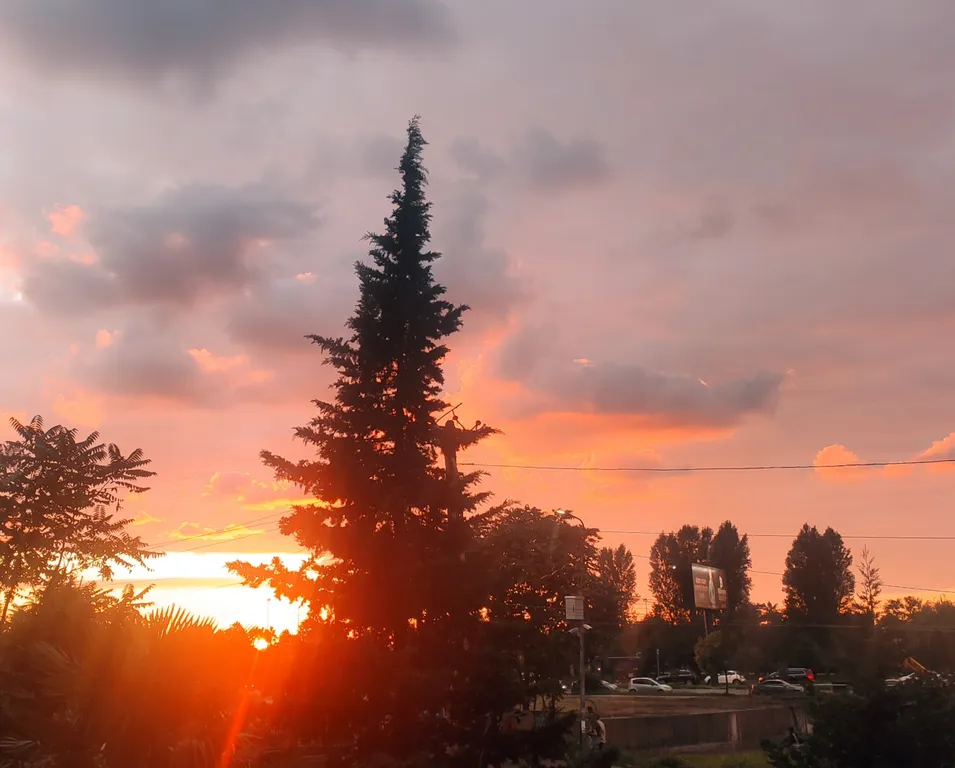 Уютная комната на берегу Черного моря в Батуми