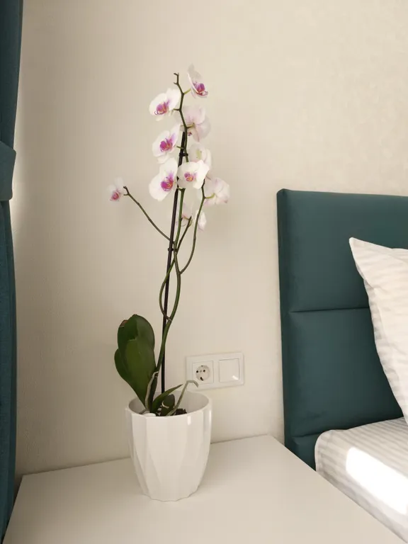 Уютная квартира в центральном районе города