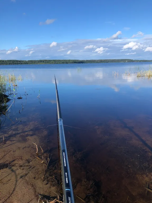 Дом в тишине на Ладоге