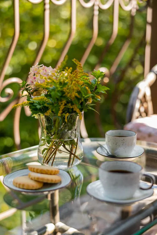 Provence полулюкс с балконом 20