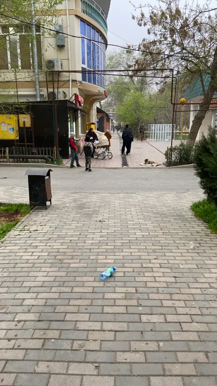 Двушка в центре города