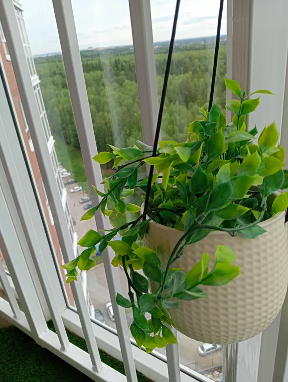 Стильная студия в новом доме комфорт класса ЖК Лес