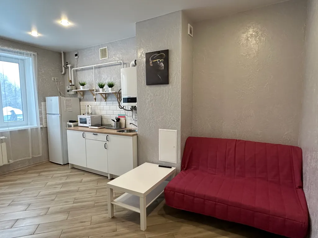 Уютная квартира у горнолыжного курорта Сорочаны