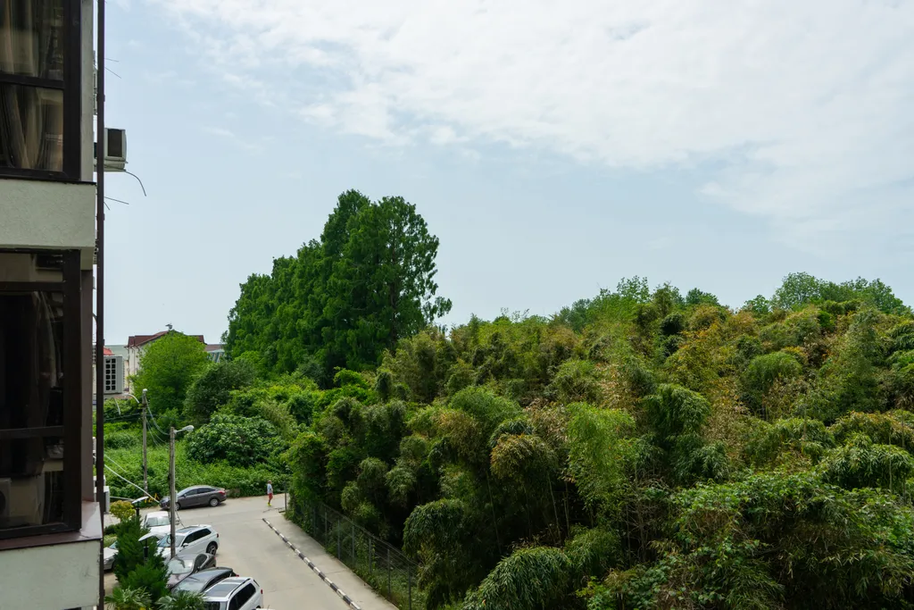 Стильная студия с видом на бамбуковую рощу в ЖК Сорренто Парк