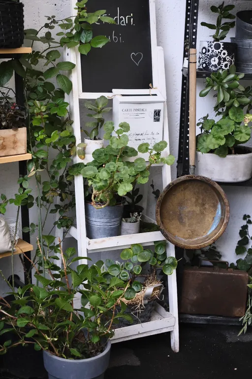 Старинный дом с двориком в центре