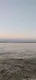 Елизавета