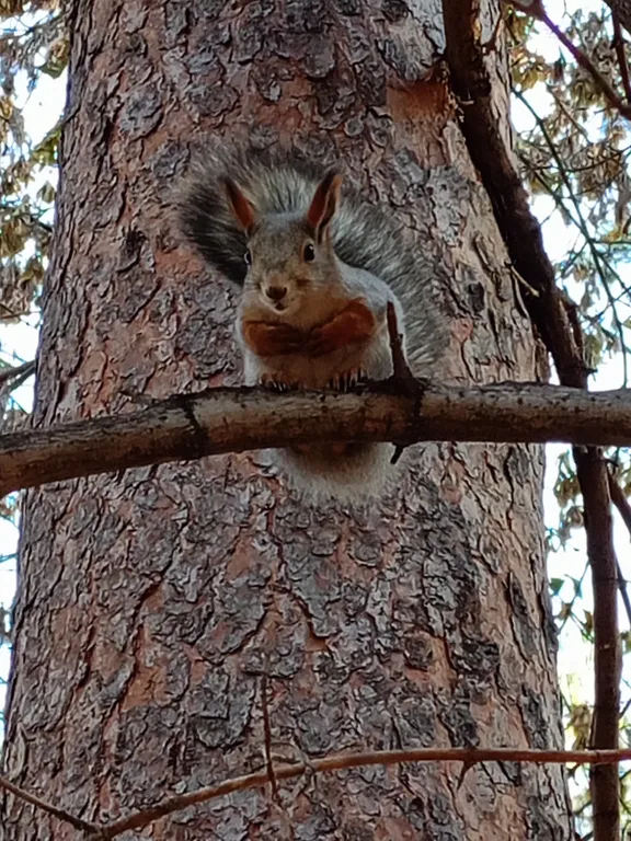 Квартира Уютная квартира в центре города, рядом со сквером — Новосибирск
