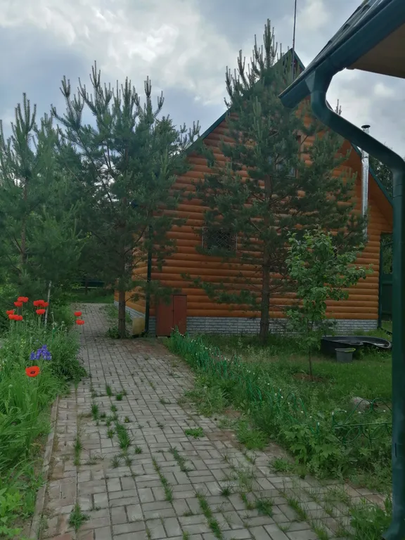 Дом с камином