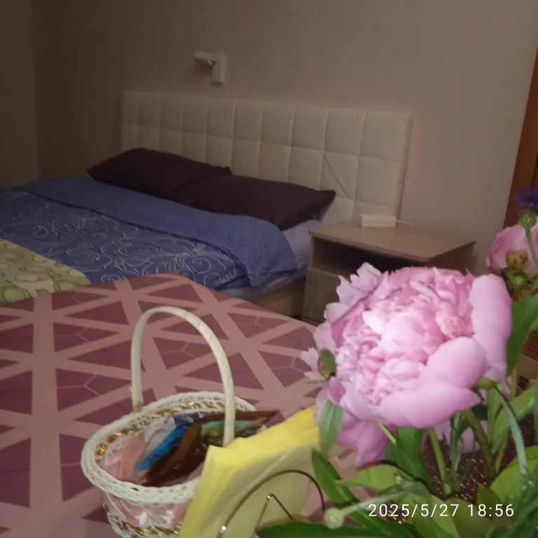 Замечательная студия