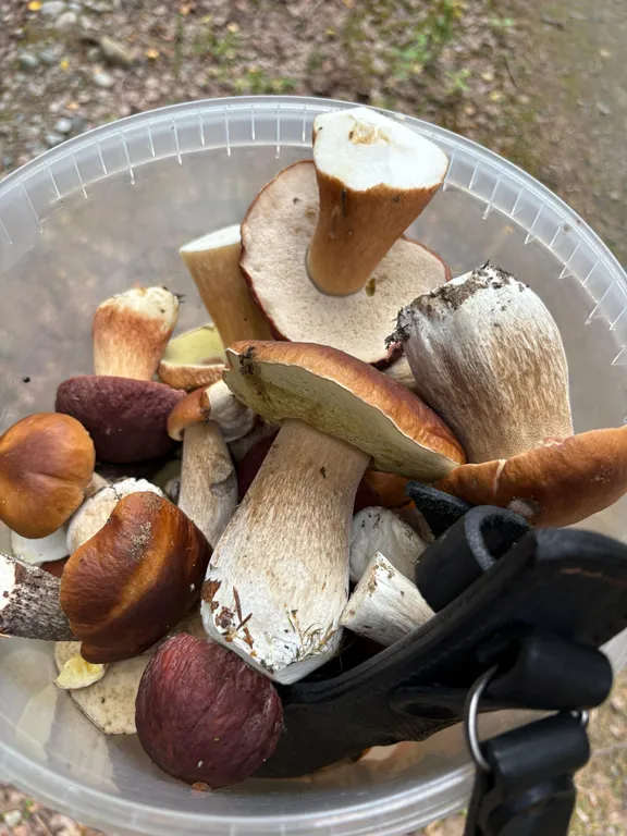 «Шале у Озера»