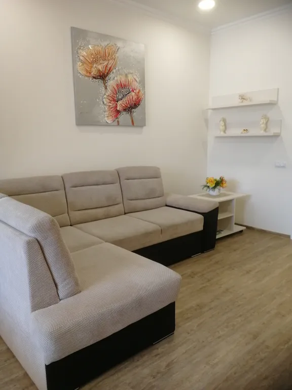 Квартира 1-комнатная Квартира — Светлогорск